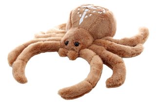 Obrázek z Pavouk křižák obecný plyš 25cm (6) 